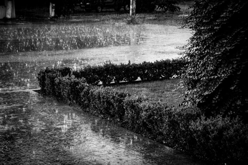 Фотография автора OXANA MARSOVA