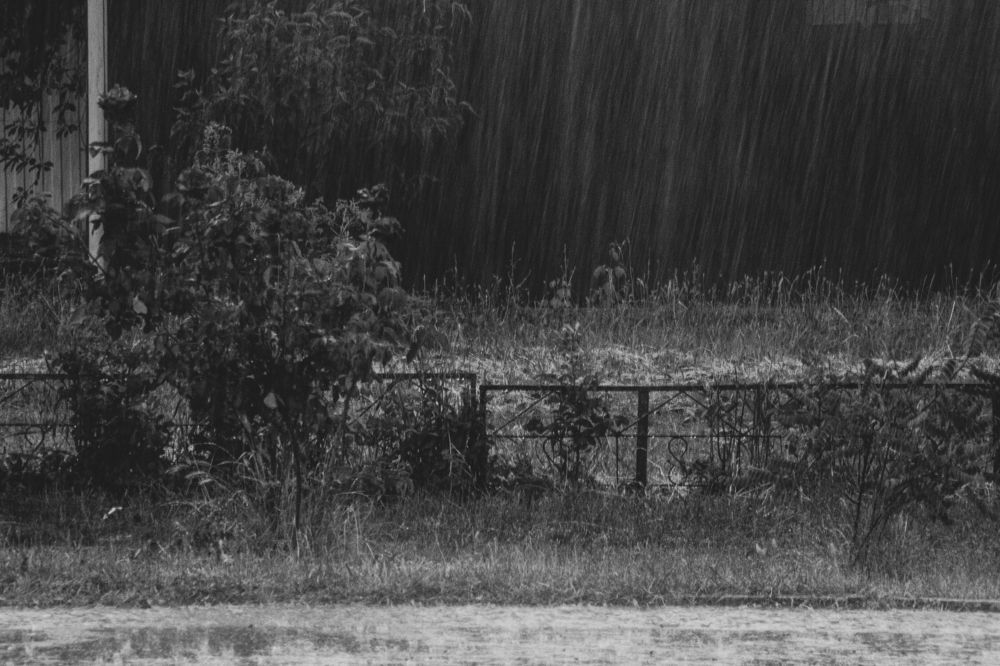 Фотография автора OXANA MARSOVA