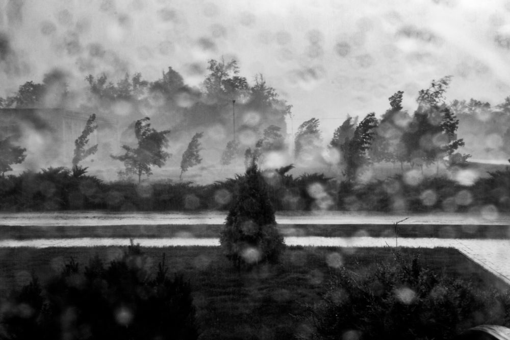 Фотография автора OXANA MARSOVA