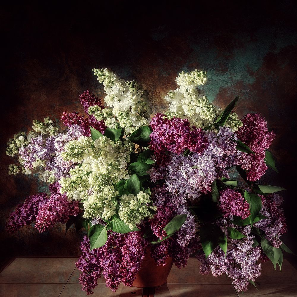 Photograph by Сергей Морозов