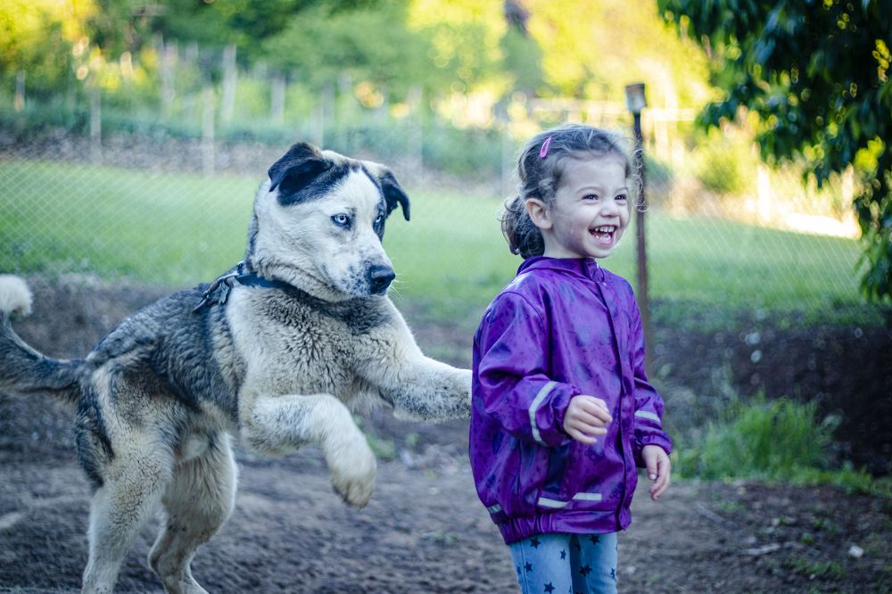 Photograph by Stoyo Stoev