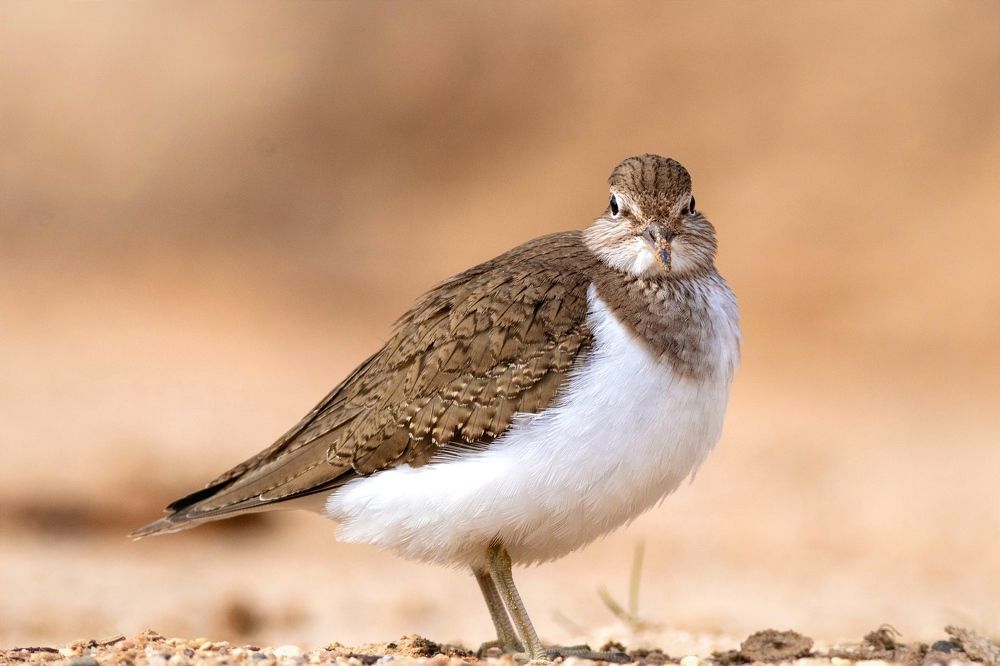 Photograph by Павел Краснослободцев