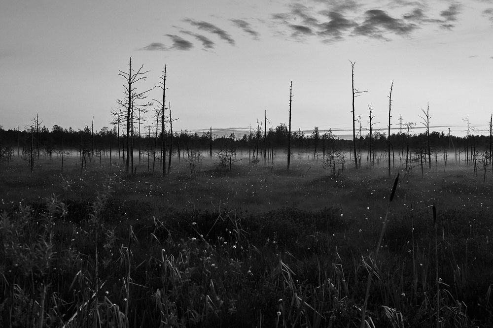 Photograph by Андрей Медведев