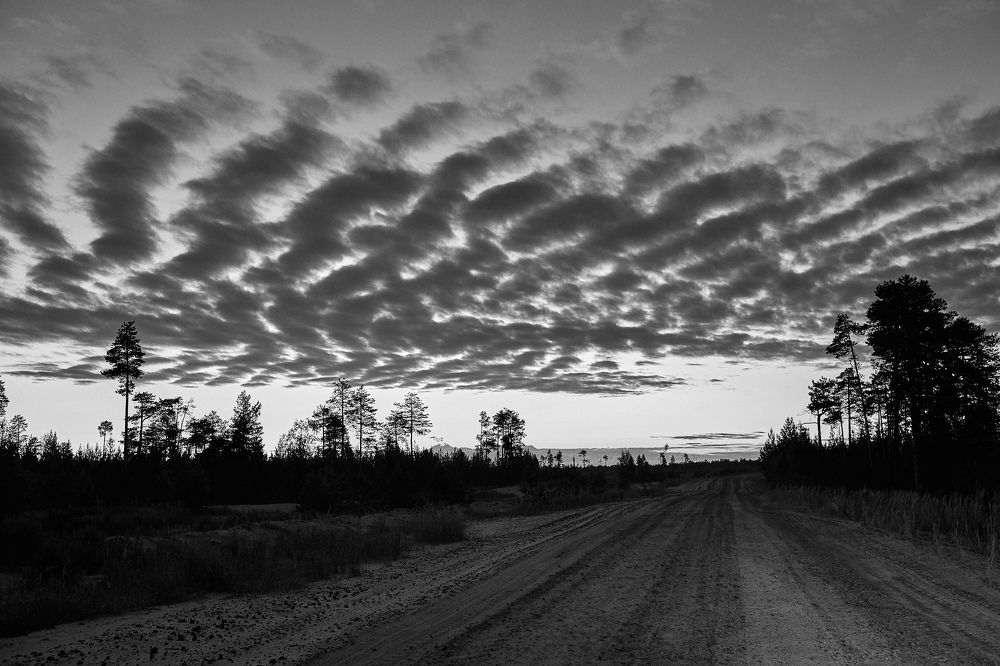 Photograph by Андрей Медведев