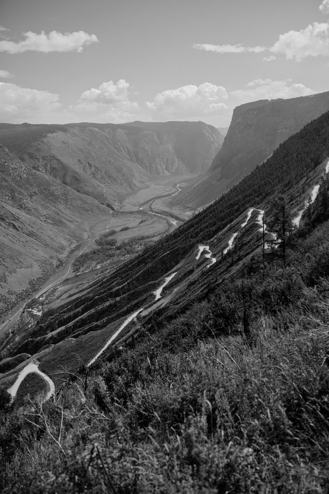 Photograph by Татьяна Арендаренко