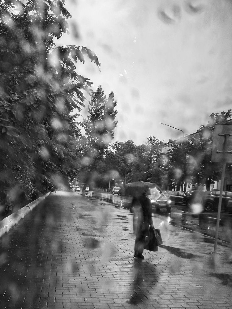 Photograph by Svetlana Yurasova