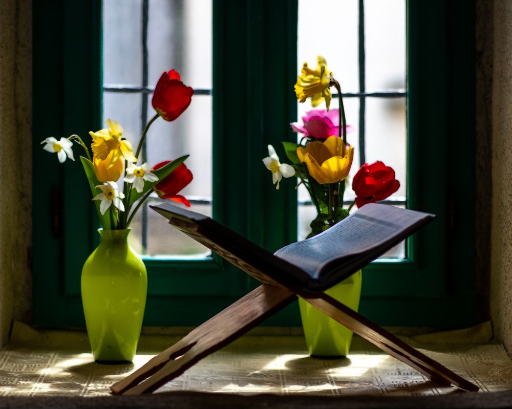 Photograph by Jasmin Džebo