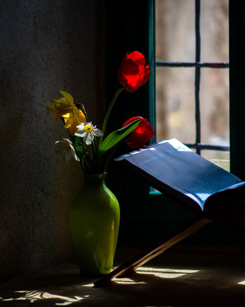 Photograph by Jasmin Džebo