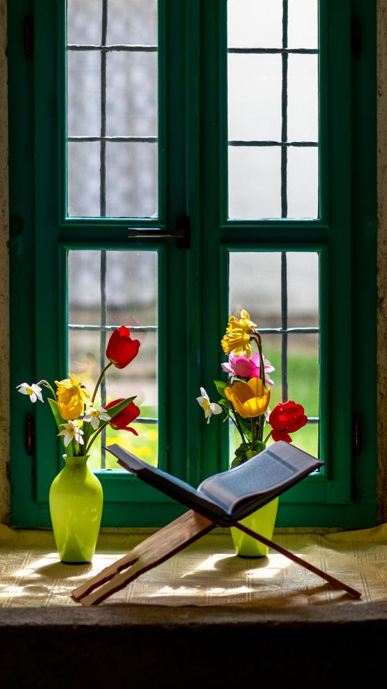 Photograph by Jasmin Džebo