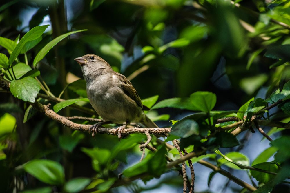 Photograph by Utkarsh Patil