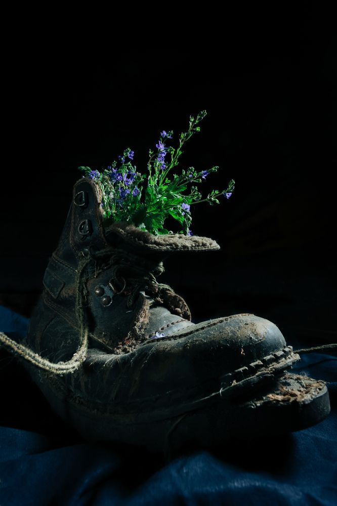 Photograph by Alexandr Tataev