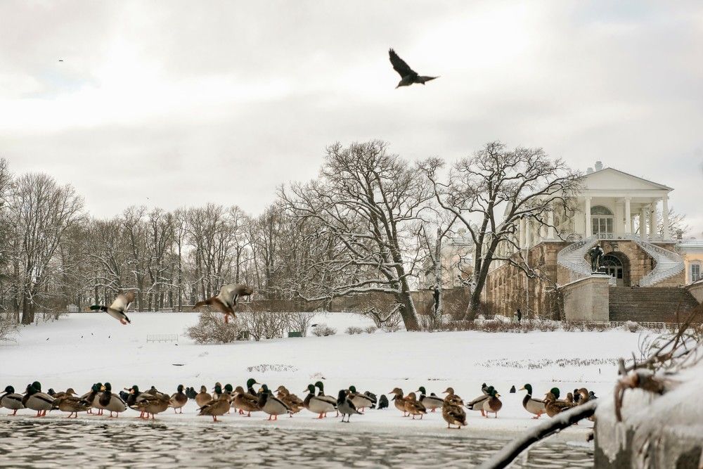 Photograph by Игорь