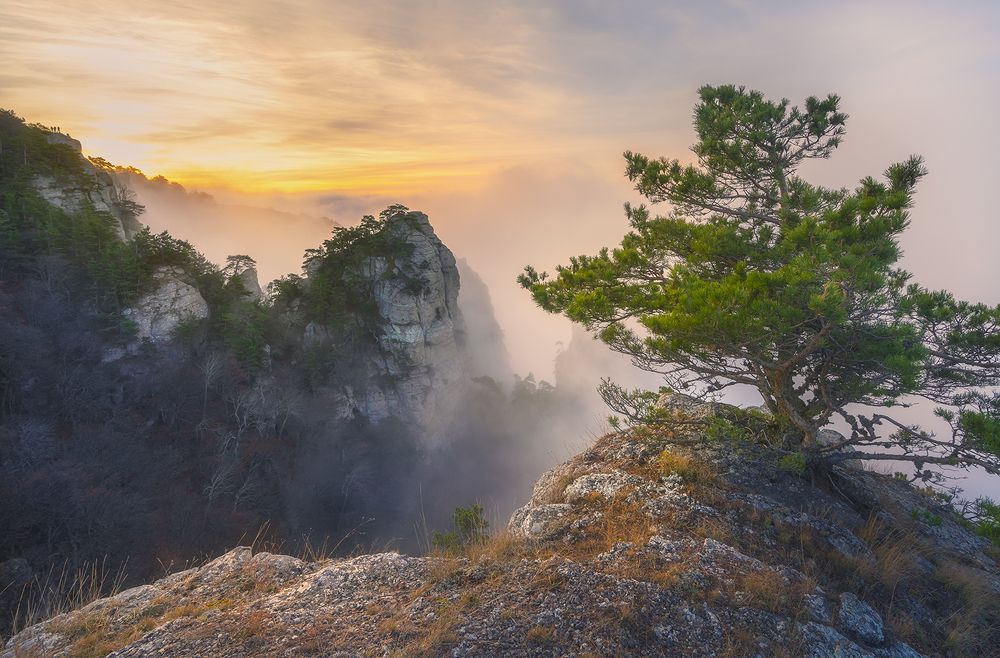 Photograph by Игорь Кляхин