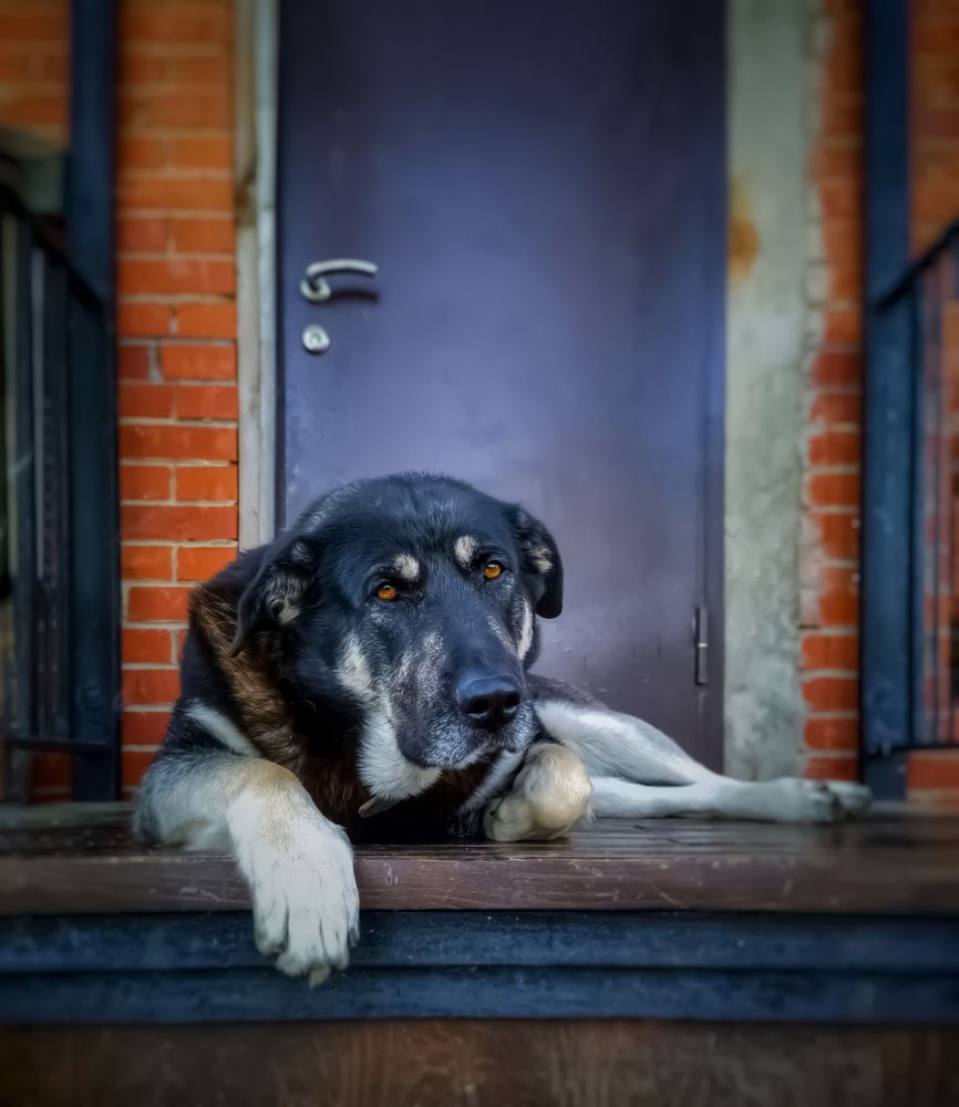 Photograph by Алексей Копылов