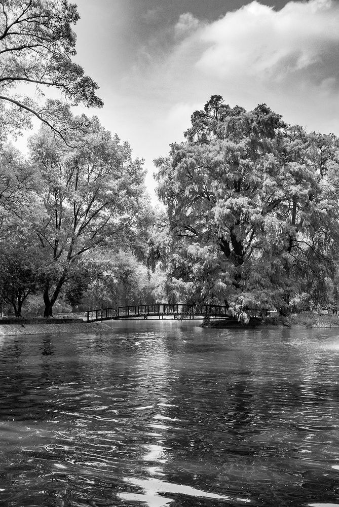 Photograph by Carlos dcdx