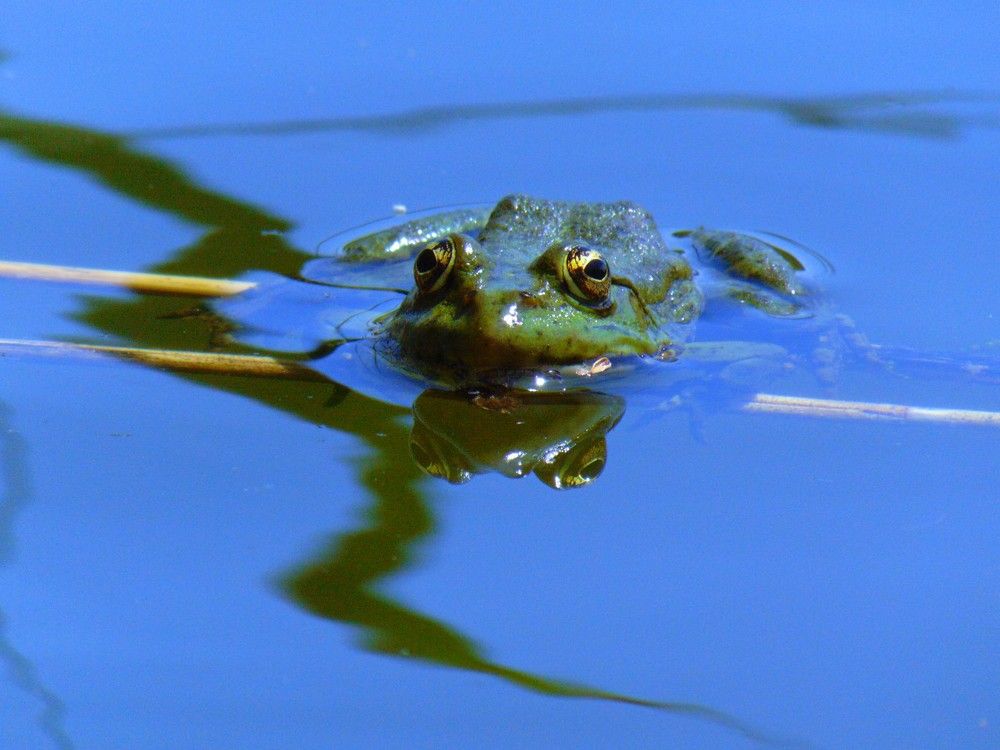 Photograph by Ольга Шевцова