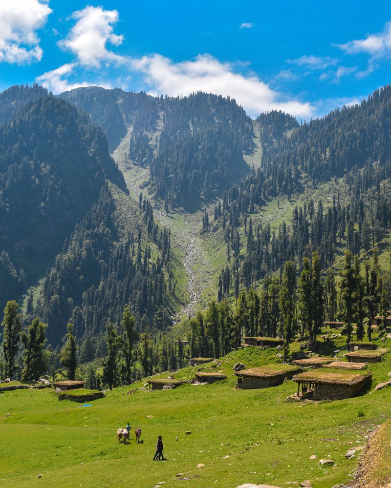 Photograph by MUSHIR UL HAQUE