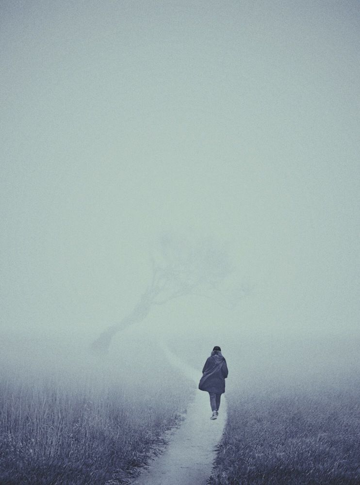 Фотография автора Alireza Bagheri sani