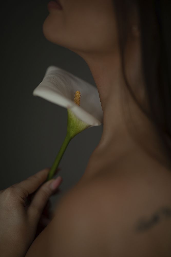 Photograph by Марина Рыжухина