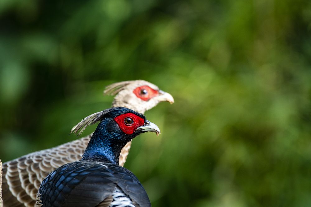 Photograph by Preet saluja