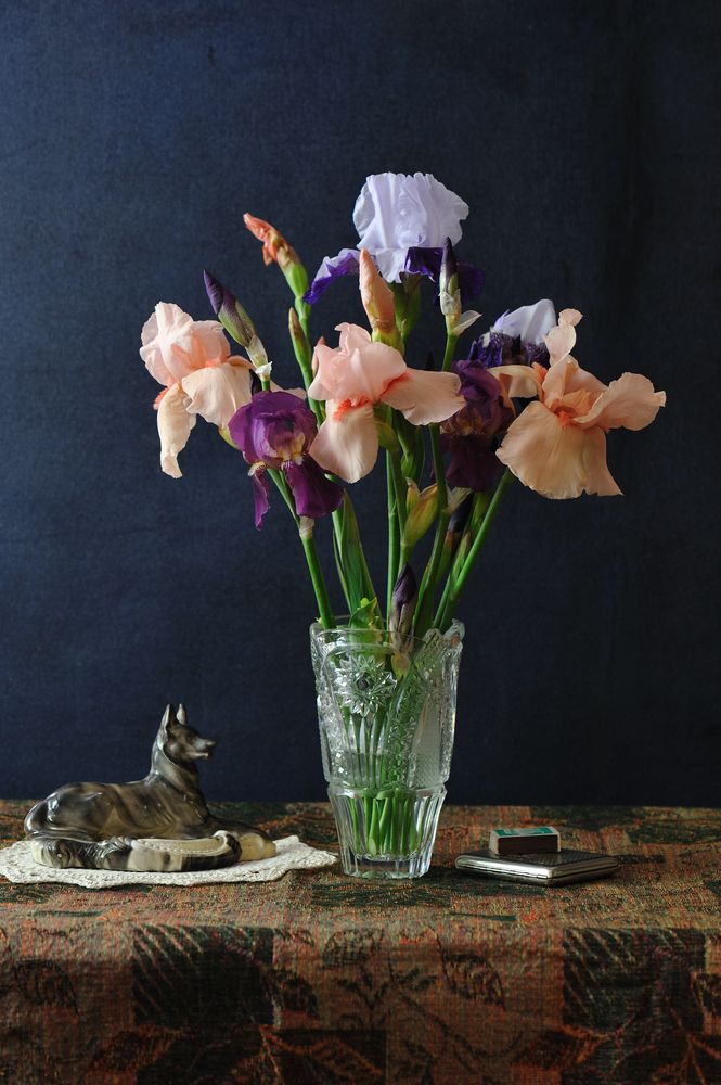 Photograph by Виктор Березкин