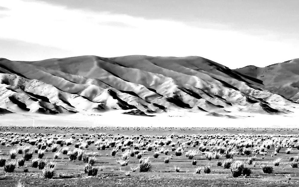 Там, где кончается степь