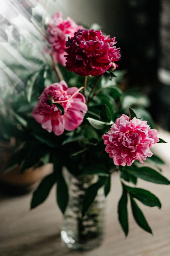 Photograph by Наталья Пагоцкая