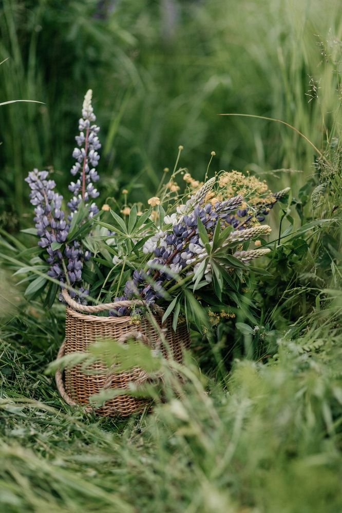 Photograph by Наталья Пагоцкая