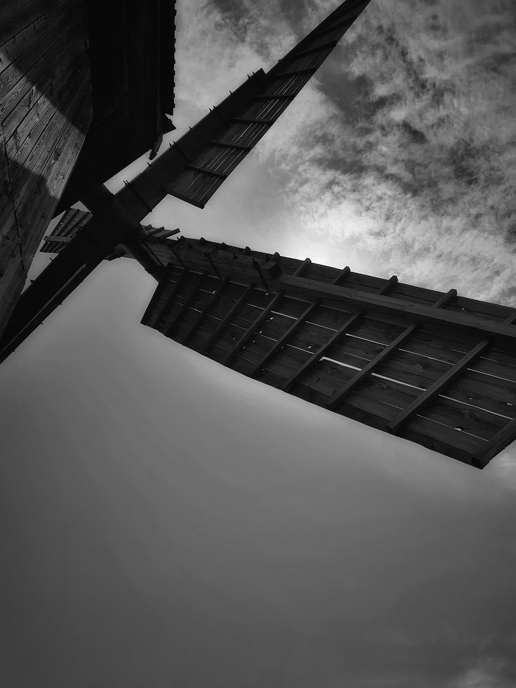 Photograph by Ксения Олина