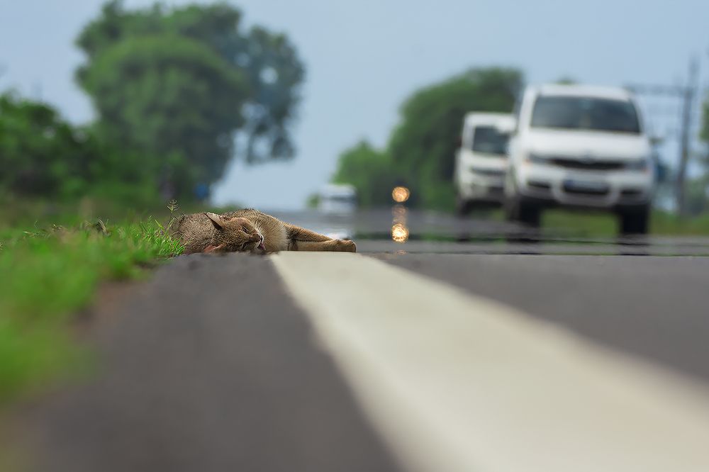 Photograph by Tushar Ambadkar