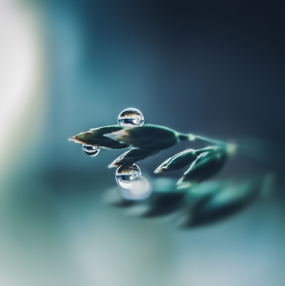 Photograph by Yulya Romanova