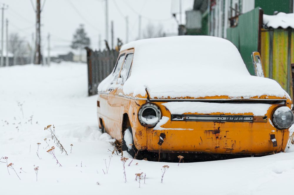 Photograph by Савицкий Анатолий