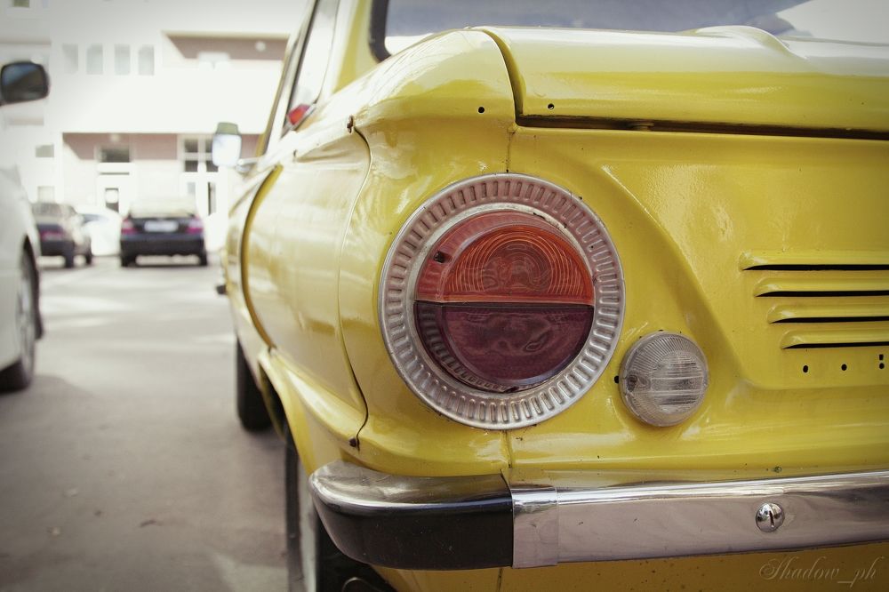 Photograph by Александр Лямцев