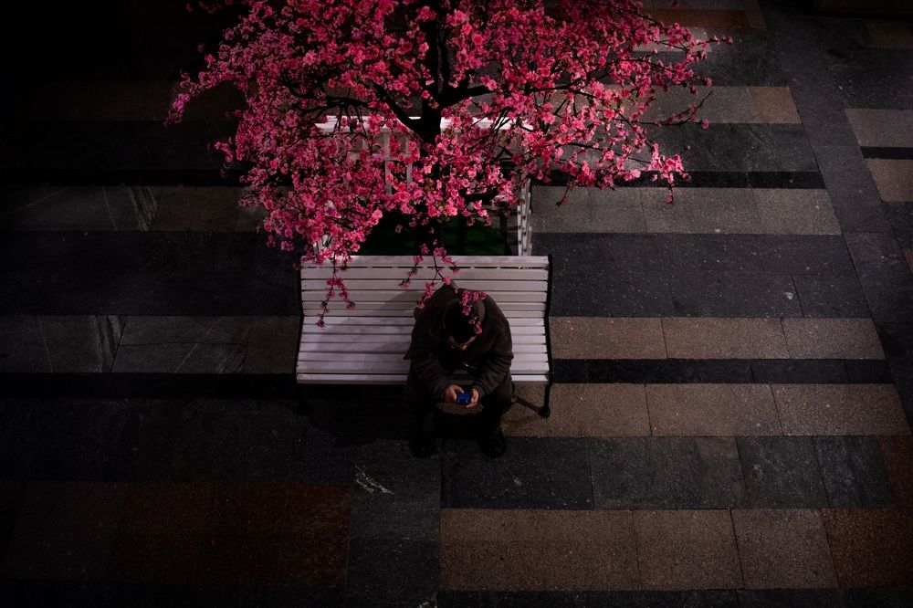 Photograph by Александр Ляхов