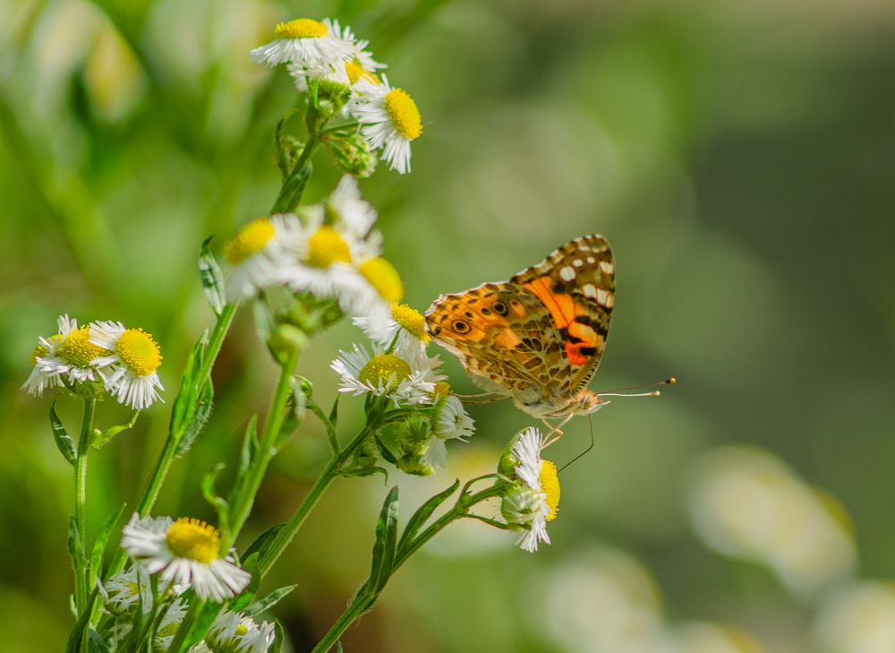 Photograph by Анна