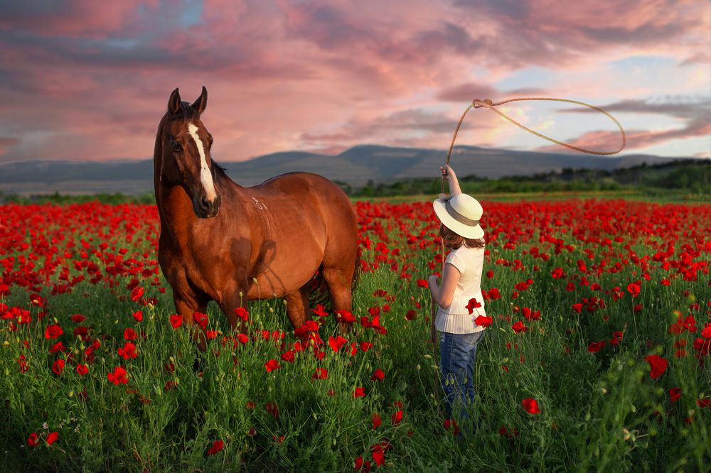 Photograph by Ирина Голомако