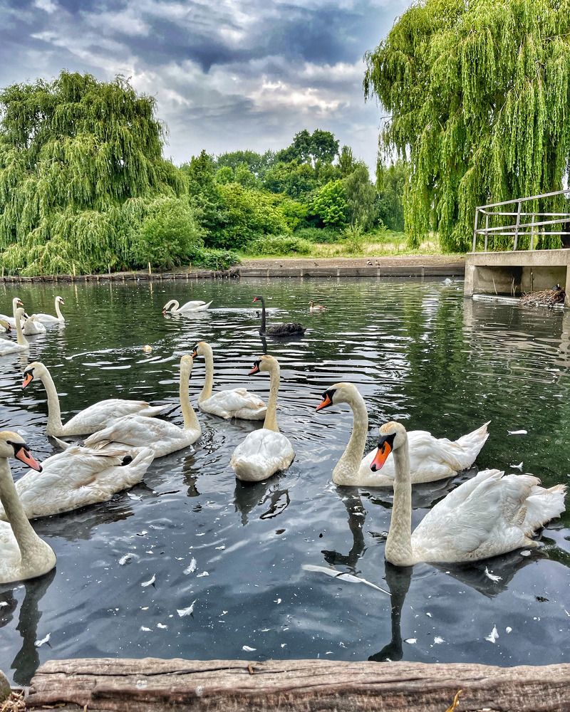 Photograph by John Blake