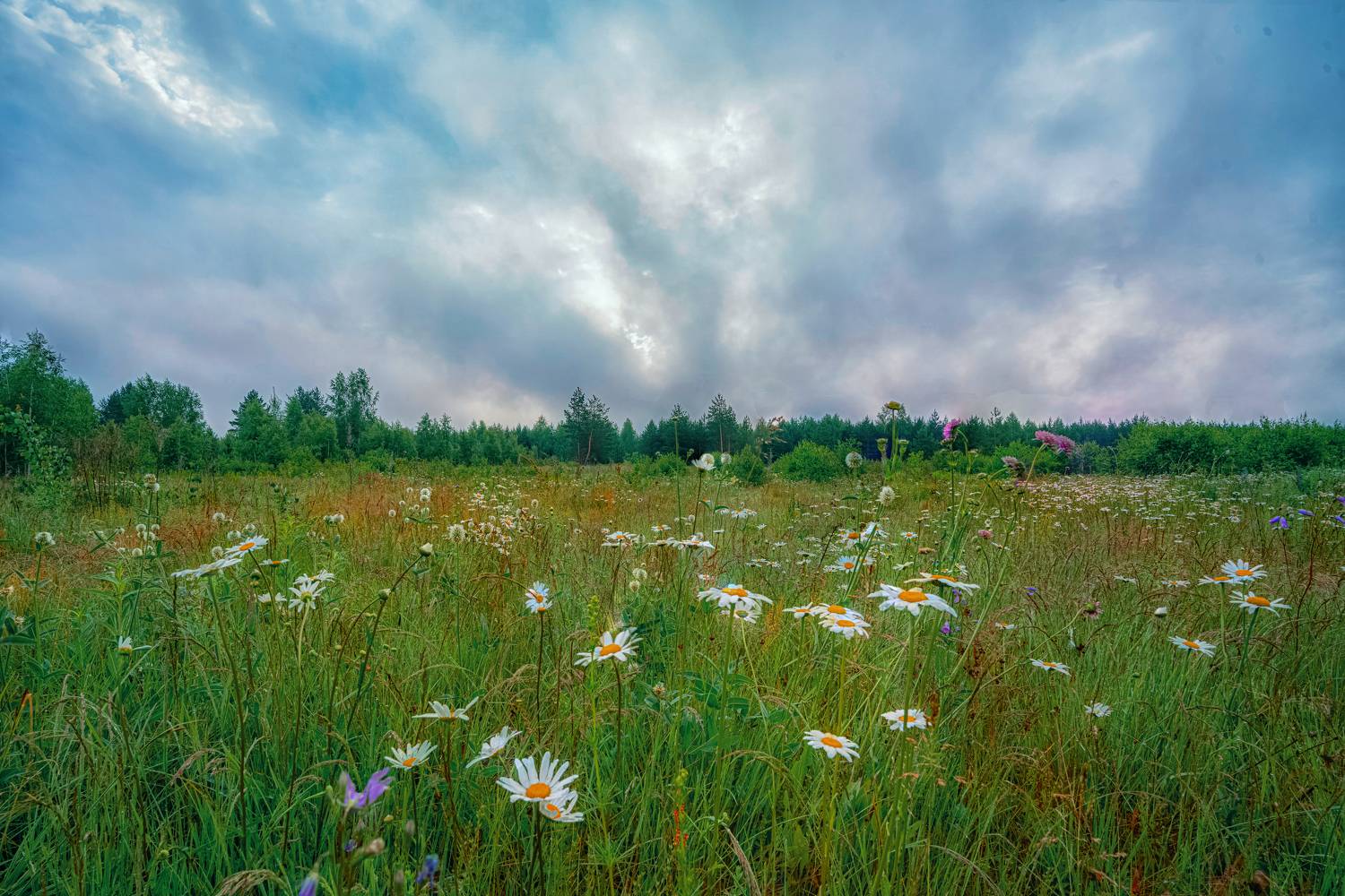 Фотография #7726704