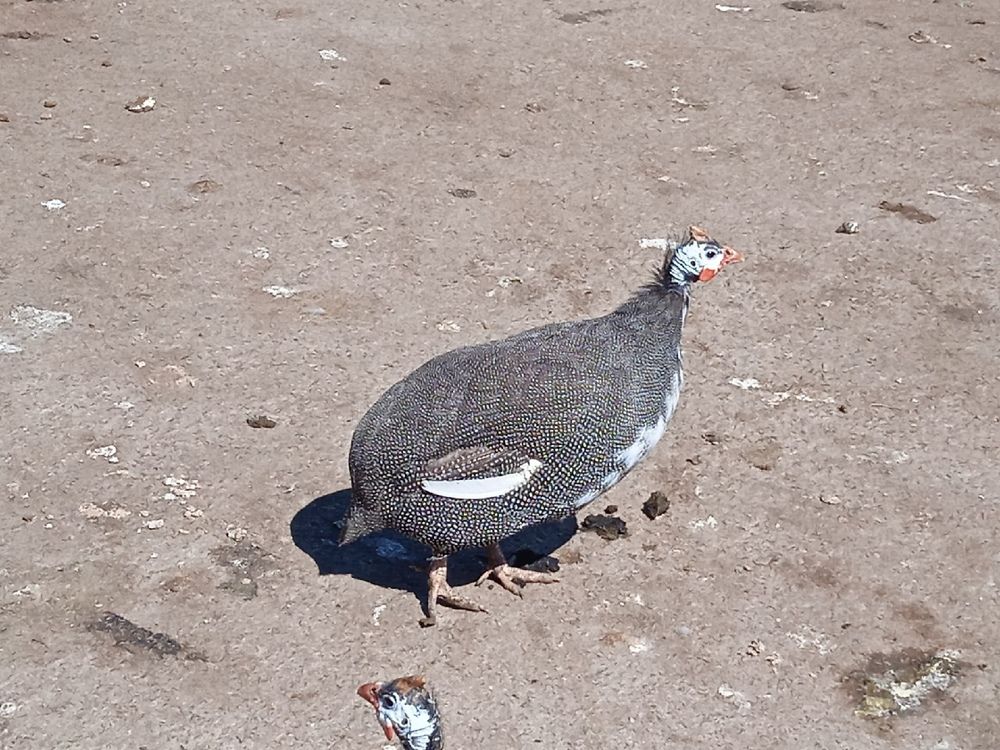 Photograph by Наталия Колемасова