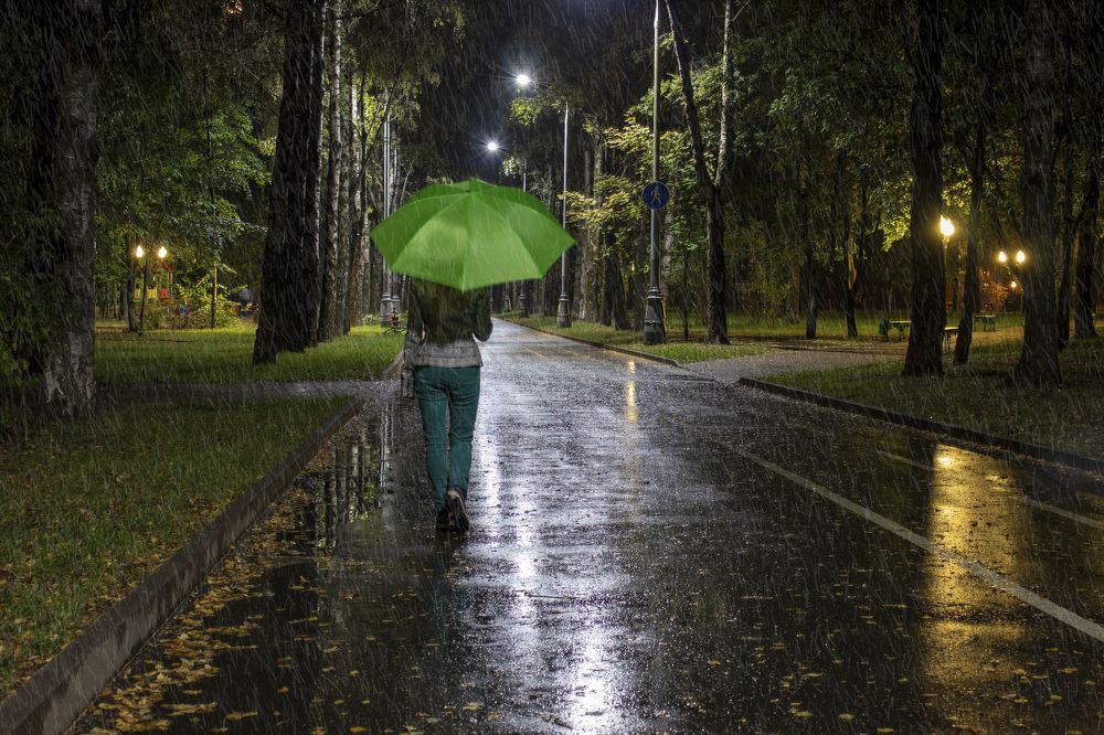 Photograph by Лариса Рулёва