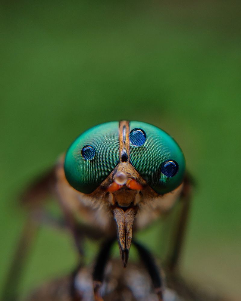 Photograph by Ajeesh A