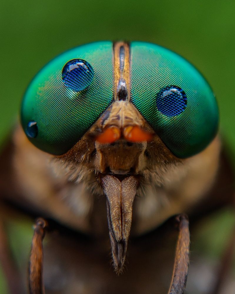 Photograph by Ajeesh A