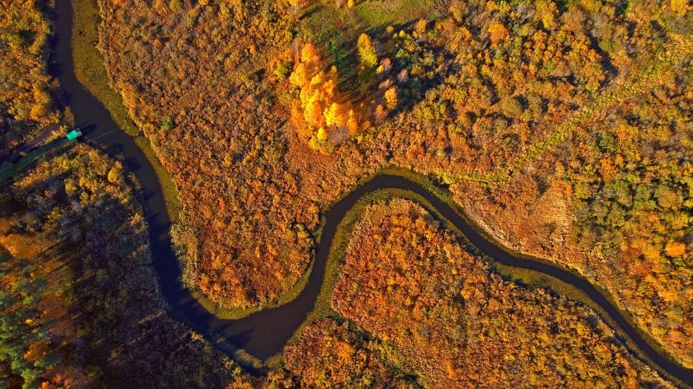 Photograph by Trip Yulian