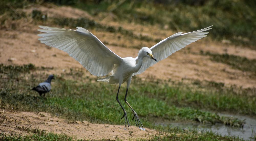 Photograph by AJAY KUMAR