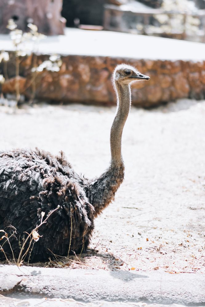 Photograph by AJAY KUMAR