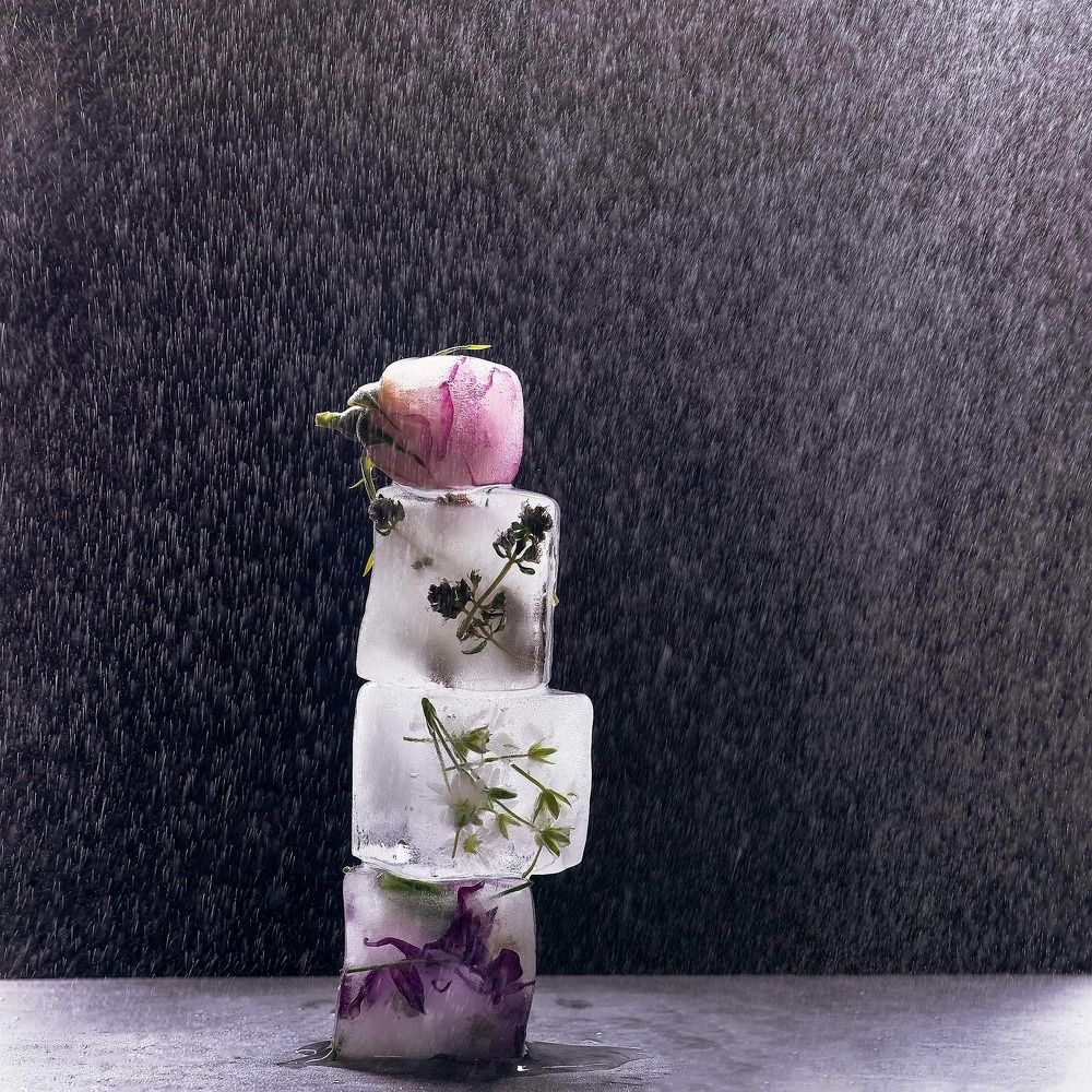 Photograph by Ледок Галина