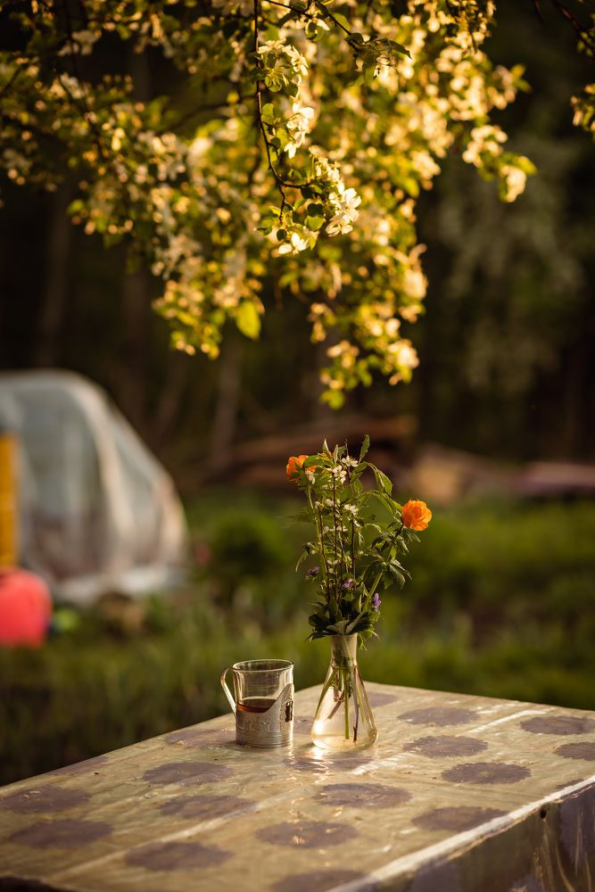 Photograph by Мария Вербицкая