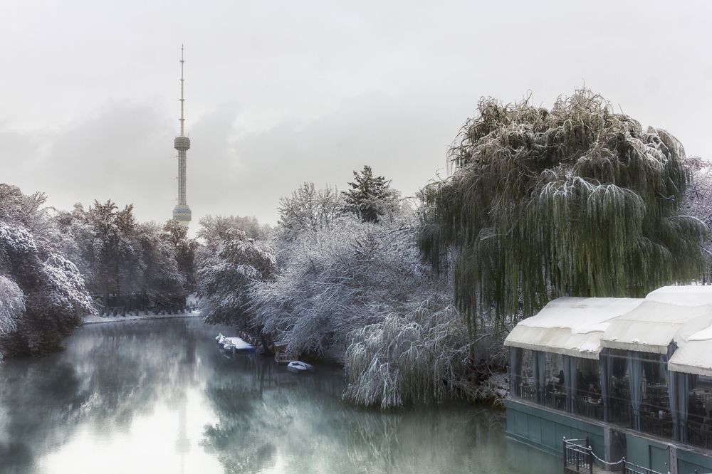 Photograph by Мария Фадеичева