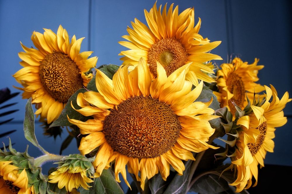 Photograph by Михаил Зорин