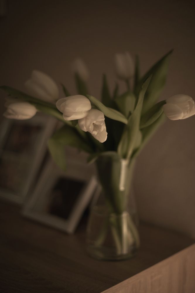 Фотография автора Мария Щеголькова